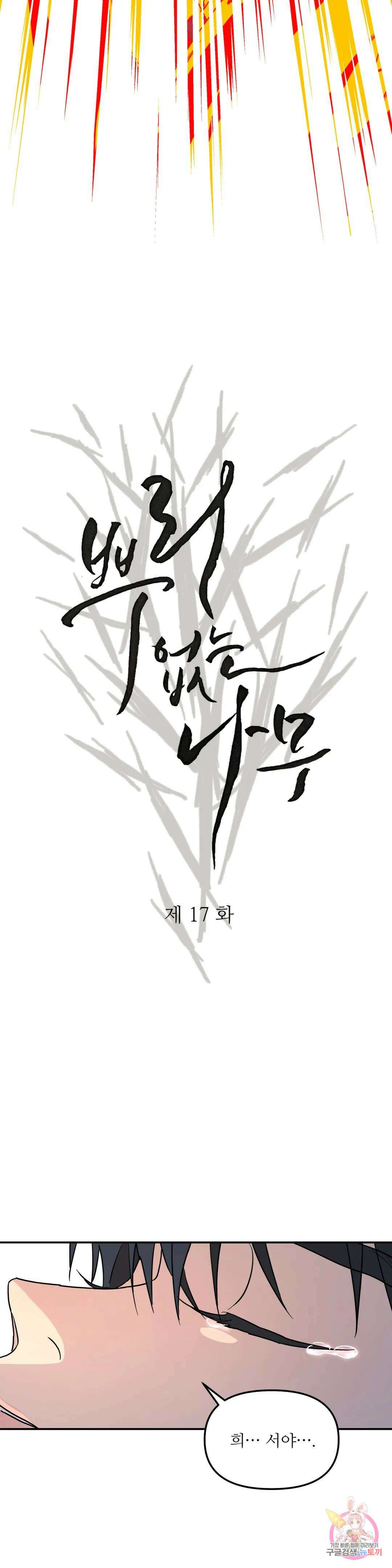 뿌리 없는 나무 17화 6