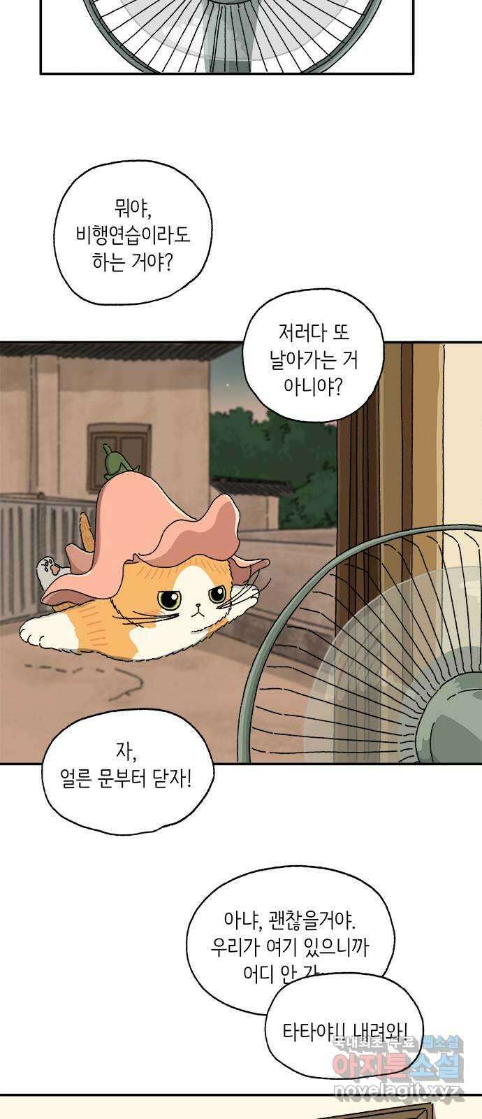 고양이 타타 7화 19