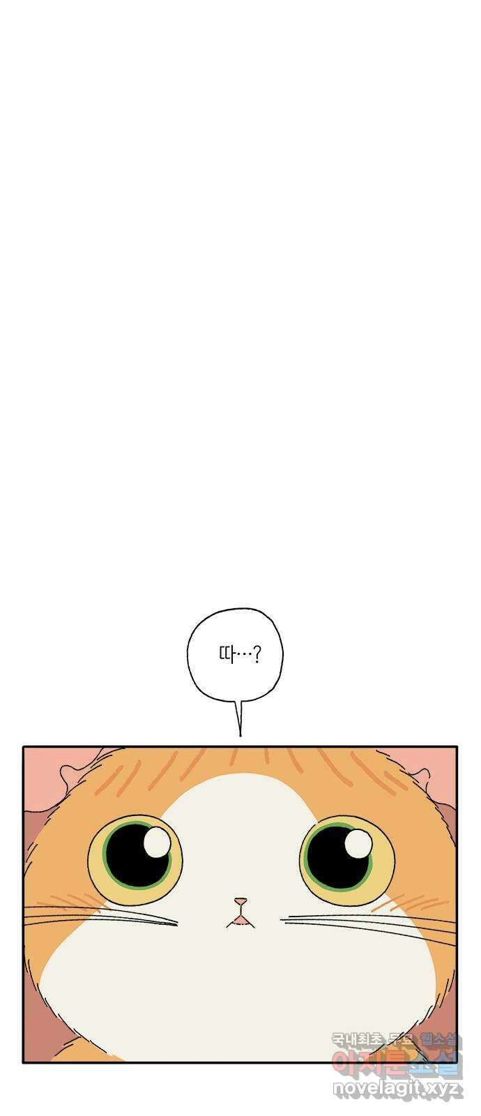 고양이 타타 7화 28