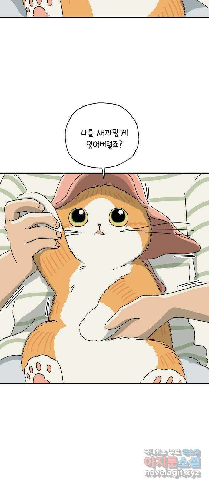 고양이 타타 7화 33
