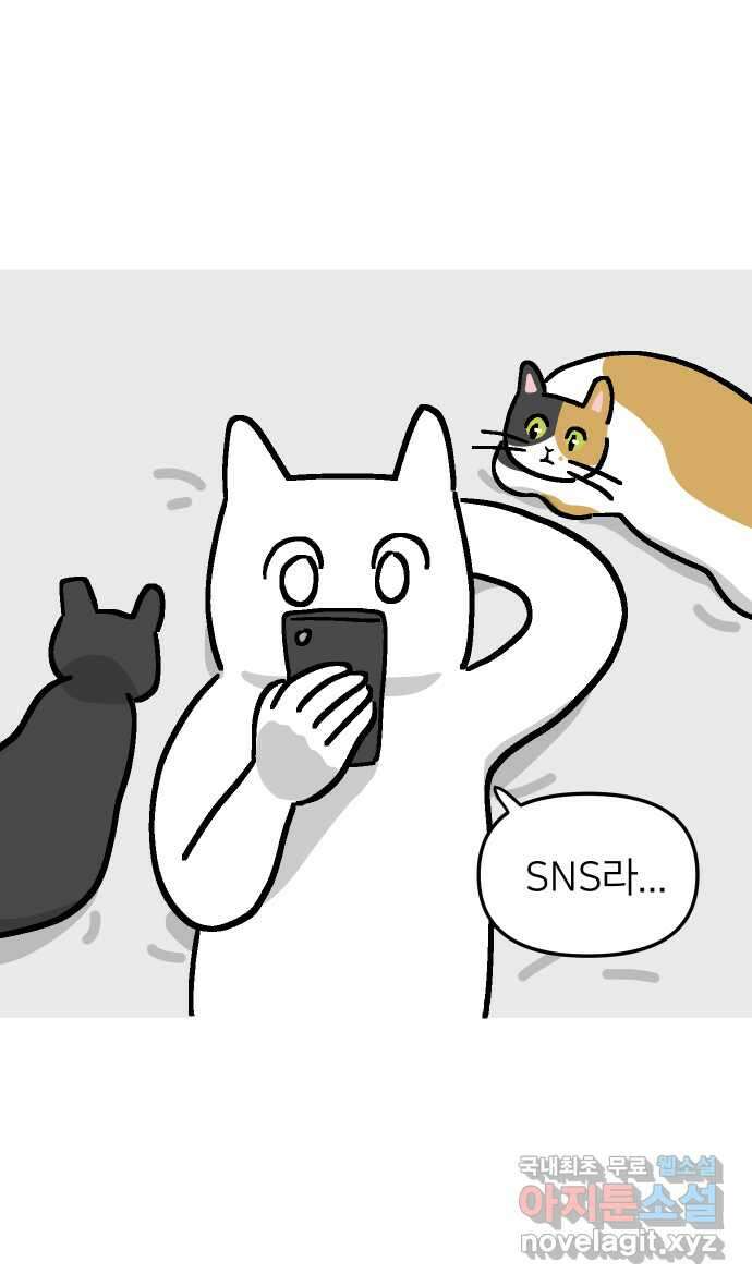 애옹식당 62화 애기의 입양 홍보(1) 6