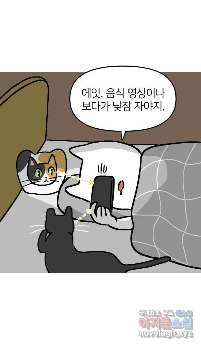애옹식당 62화 애기의 입양 홍보(1) 16