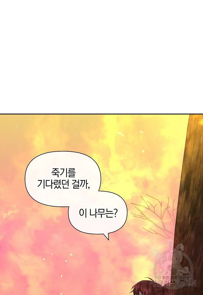 황금숲 90화 14