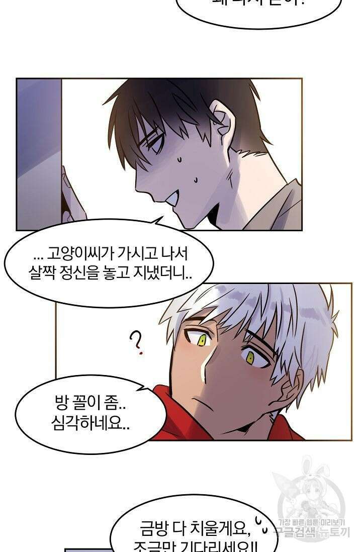 골판지 상자 안 고양이씨 외전 4