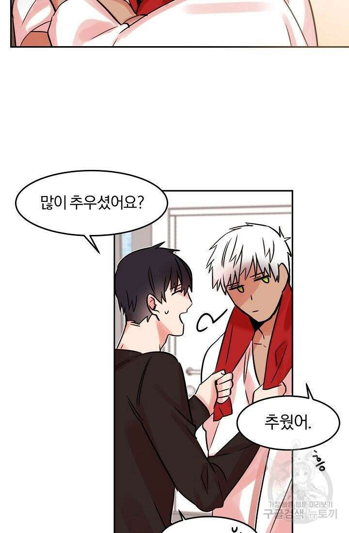 골판지 상자 안 고양이씨 외전 8