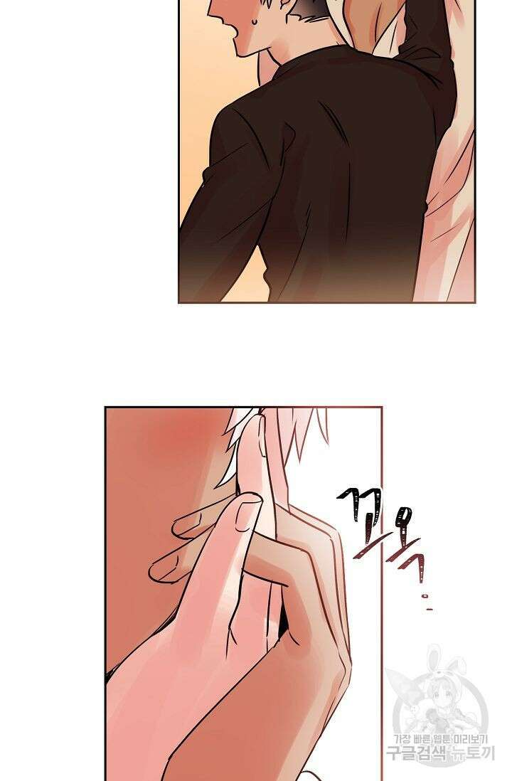 골판지 상자 안 고양이씨 외전 11