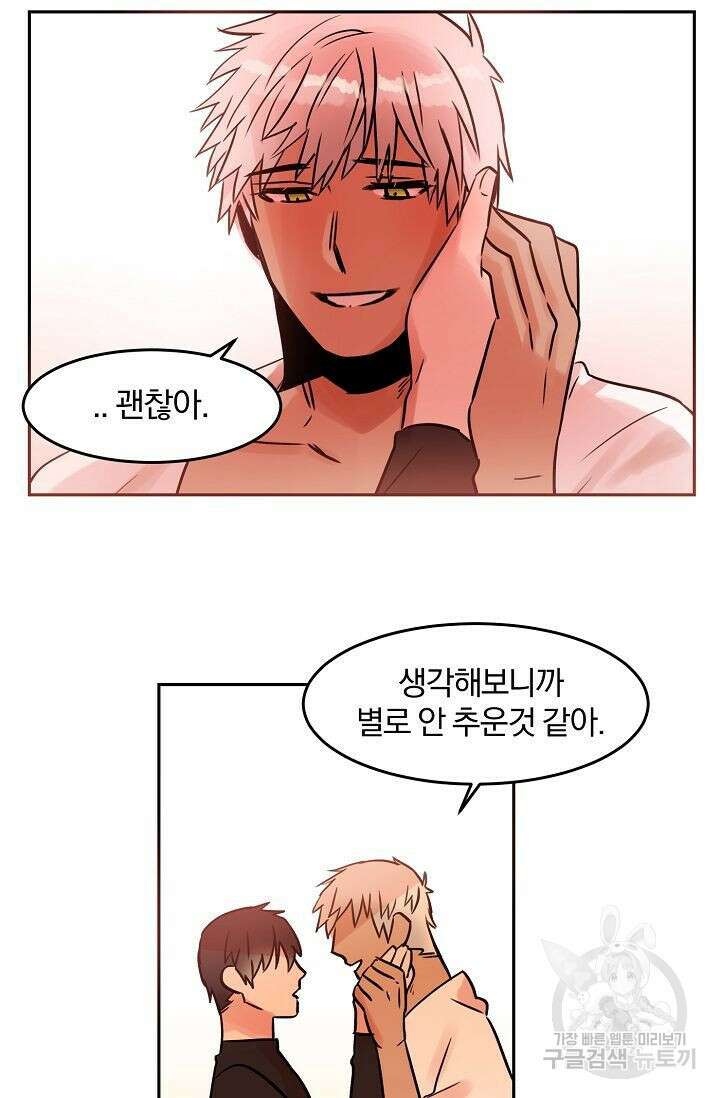 골판지 상자 안 고양이씨 외전 13