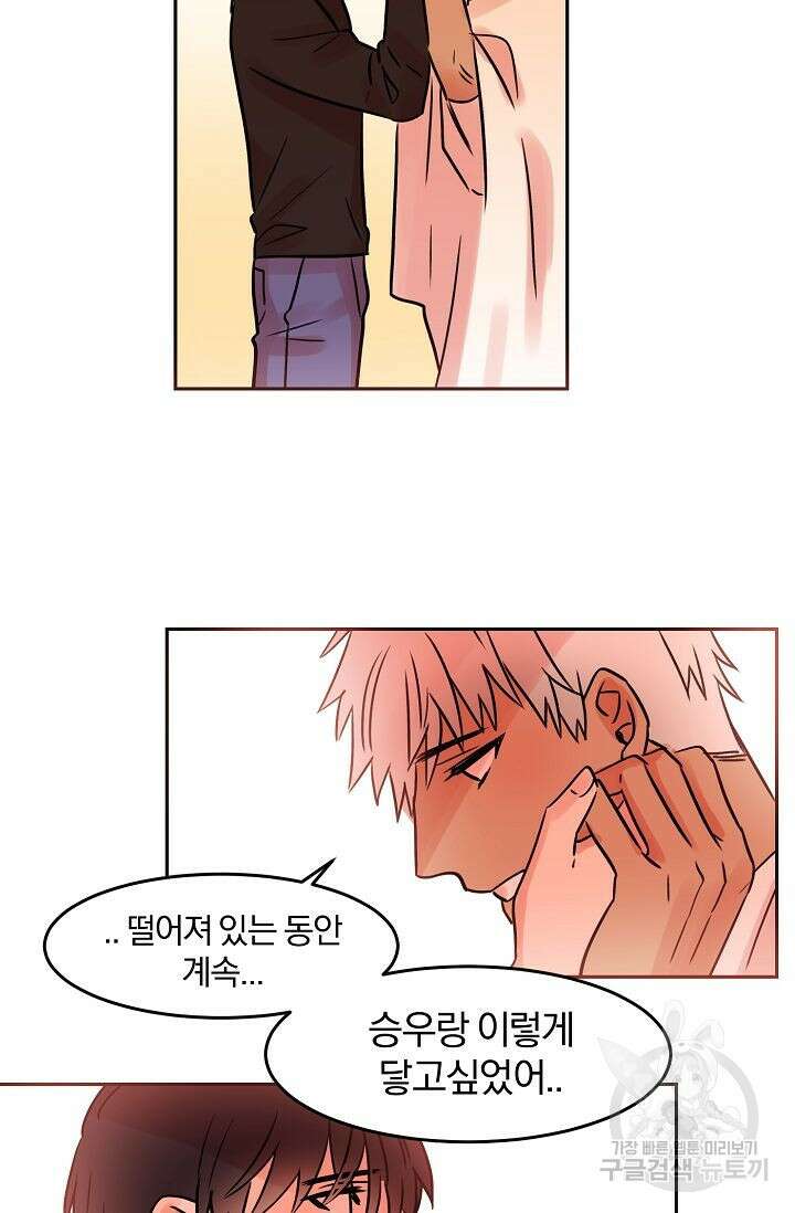 골판지 상자 안 고양이씨 외전 14