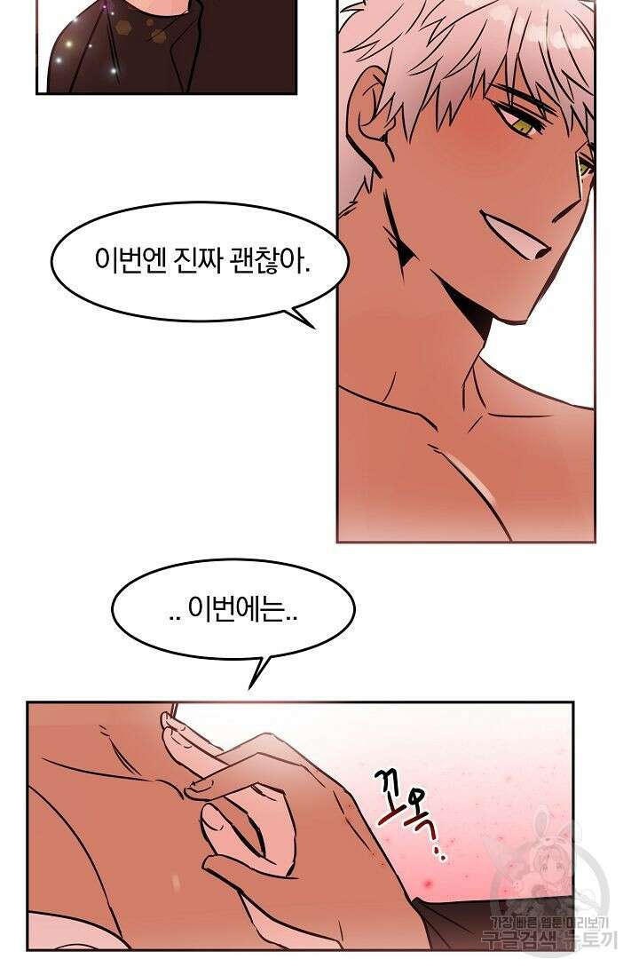골판지 상자 안 고양이씨 외전 28