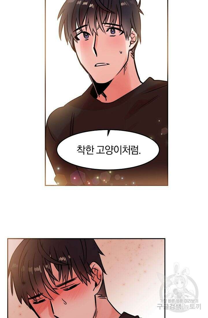 골판지 상자 안 고양이씨 외전 30