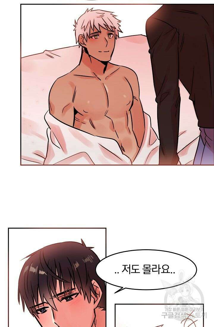 골판지 상자 안 고양이씨 외전 33