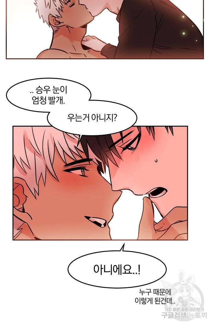 골판지 상자 안 고양이씨 외전 35