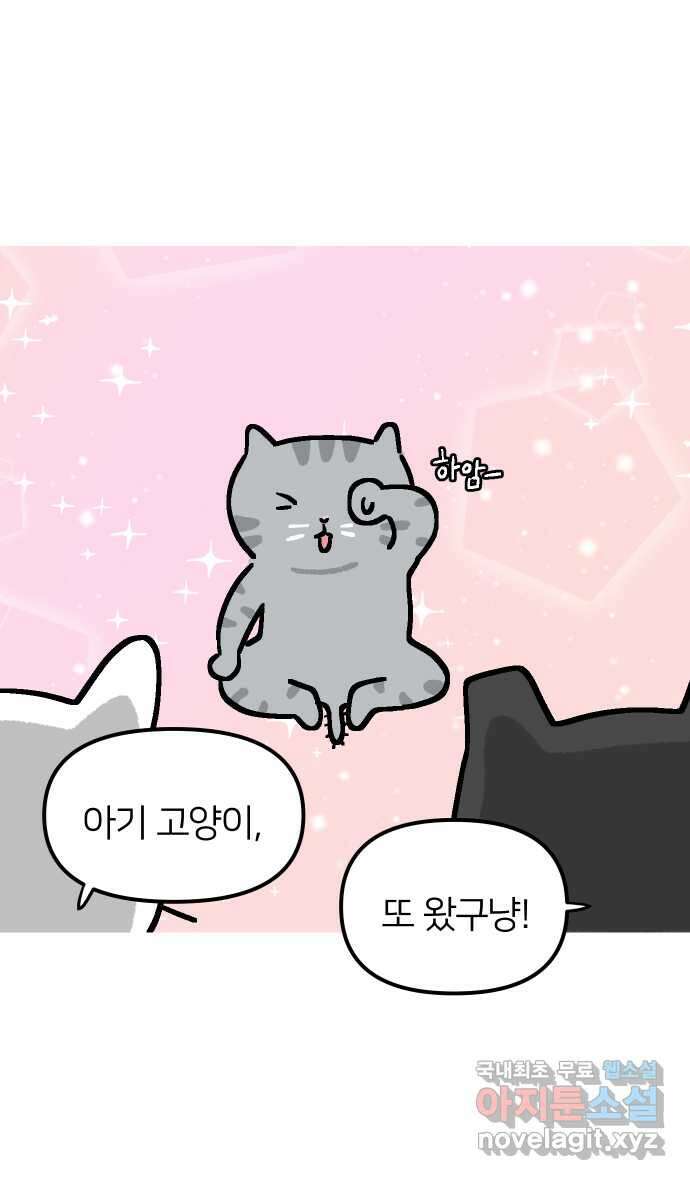 애옹식당 64화 애기의 입양 홍보(3) 13