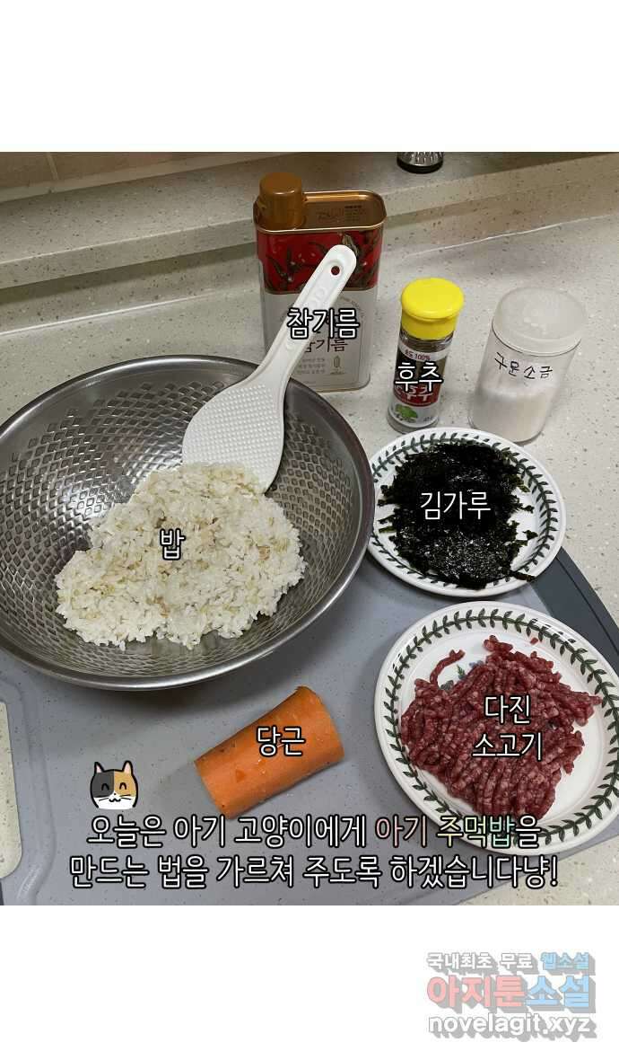 애옹식당 64화 애기의 입양 홍보(3) 23