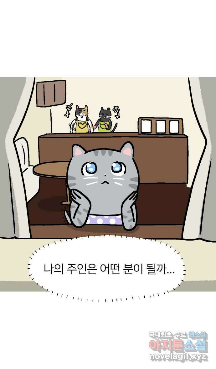 애옹식당 64화 애기의 입양 홍보(3) 37