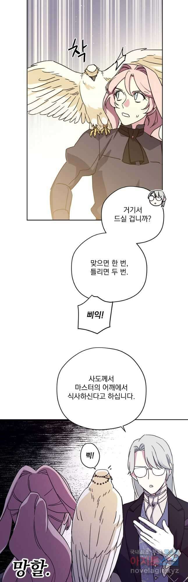 치트라 179화 8