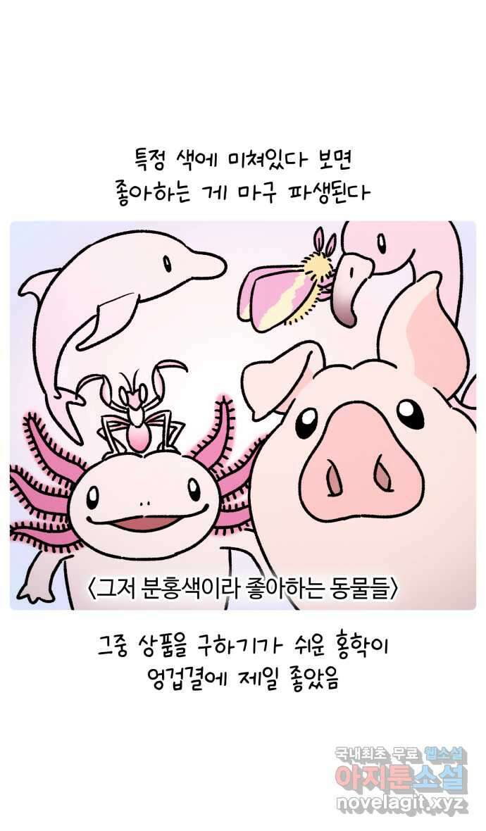 안녕, 나의 수집 60. 헌팅 트로피 1