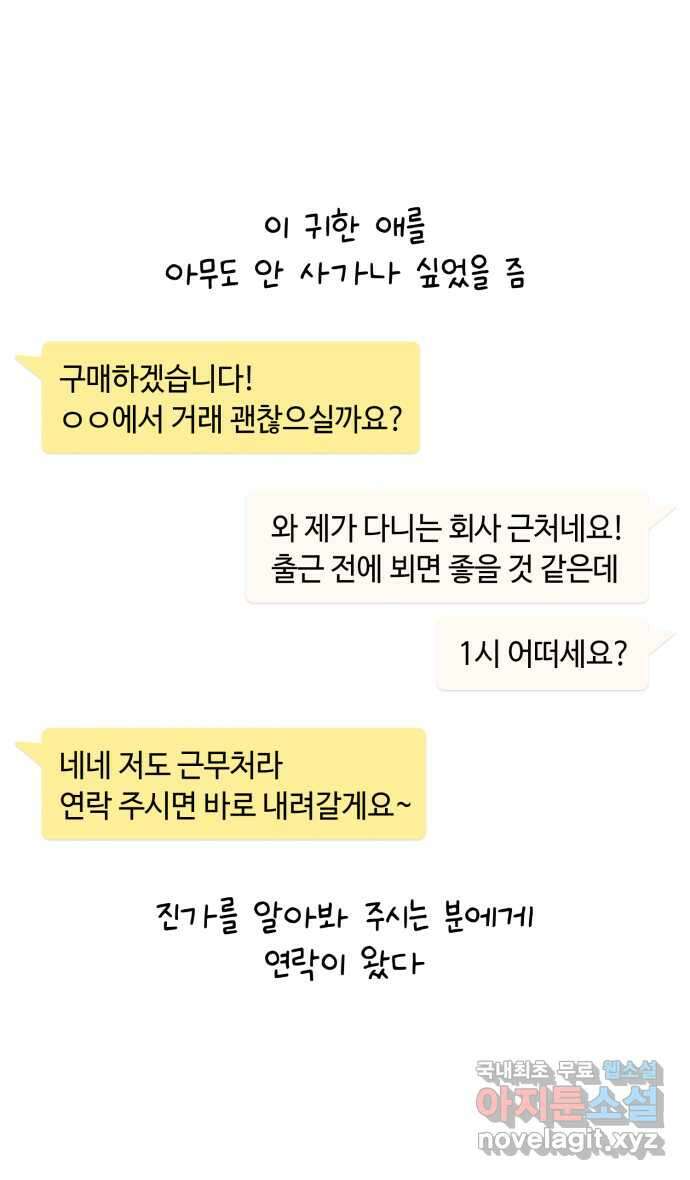 안녕, 나의 수집 60. 헌팅 트로피 21