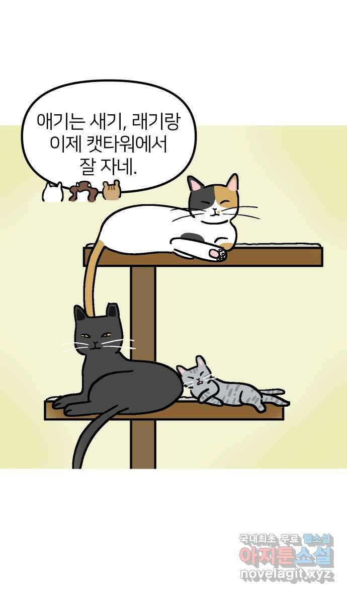 애옹식당 68화 좋아하는 것을 구우면 돼 3