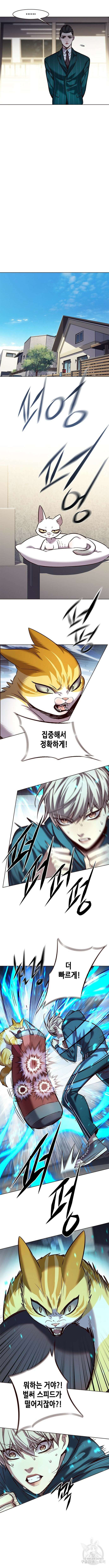 일렉시드 241화 2