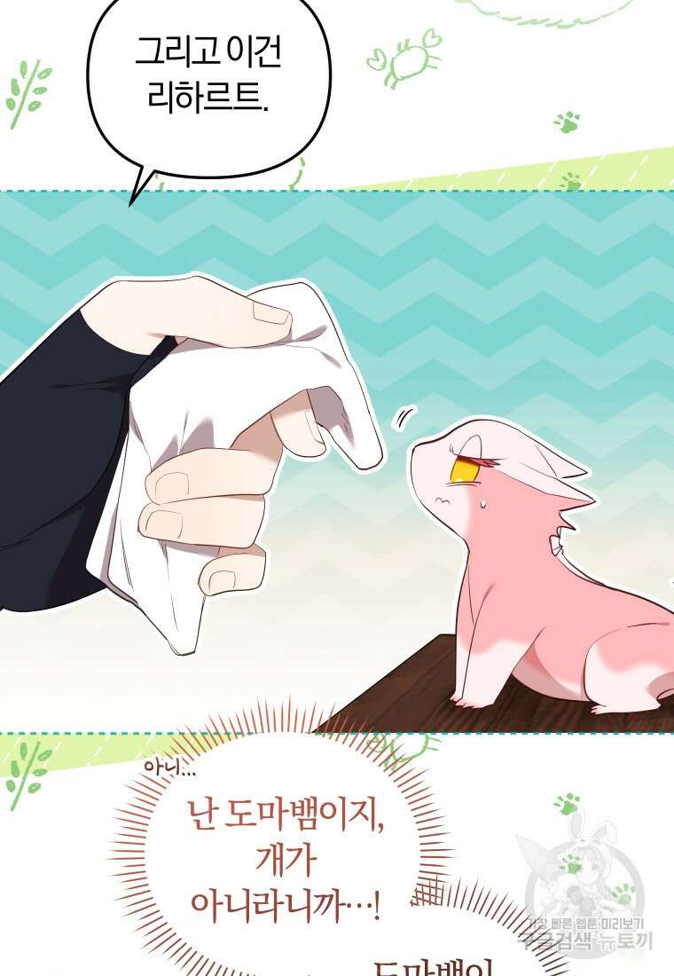 악당들에게 키워지는 중입니다 17화 22