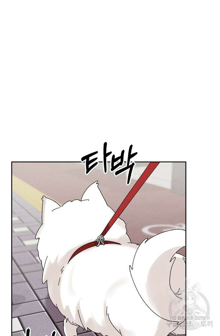 플라시보 메모리 17화 53