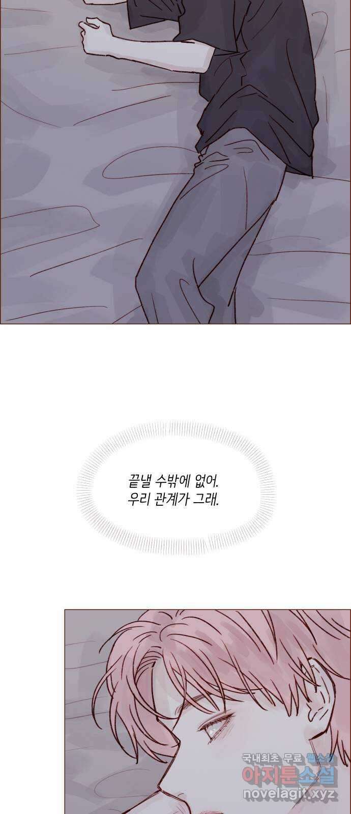 홍시는 날 좋아해! 242화 : 정순정은 범태호 거 13