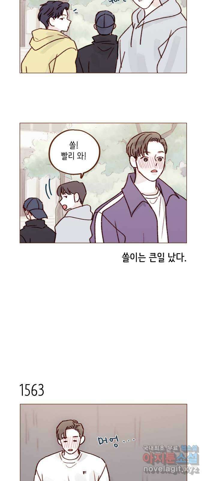 홍시는 날 좋아해! 242화 : 정순정은 범태호 거 25