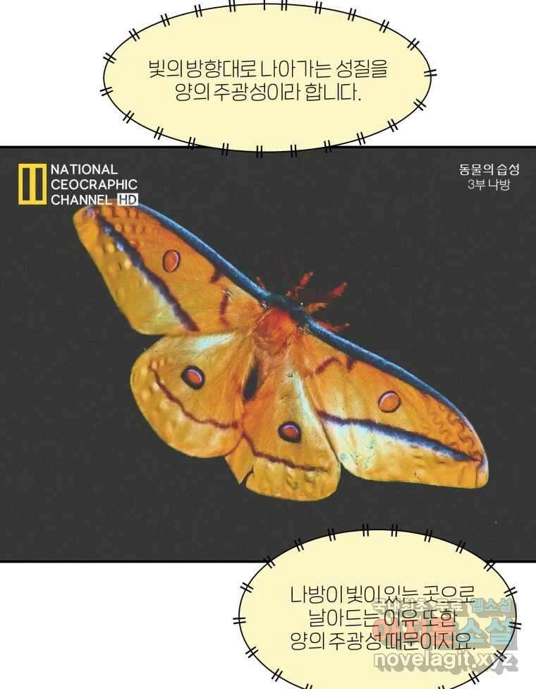 그녀의 앵무새 126화 빛과 당신의 상관관계 69