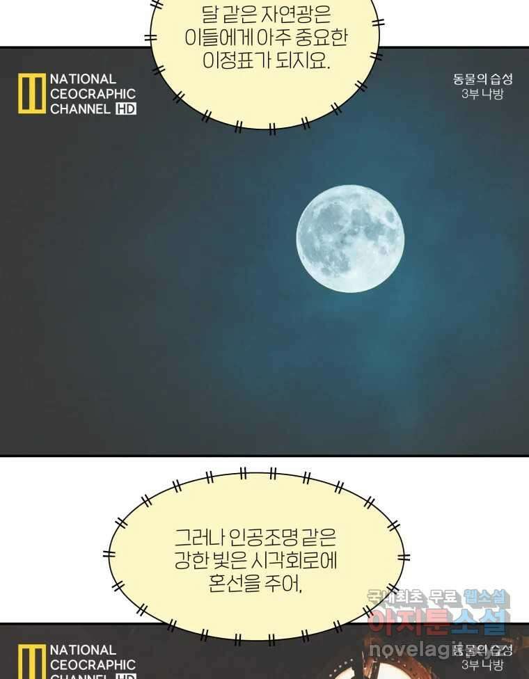 그녀의 앵무새 126화 빛과 당신의 상관관계 71
