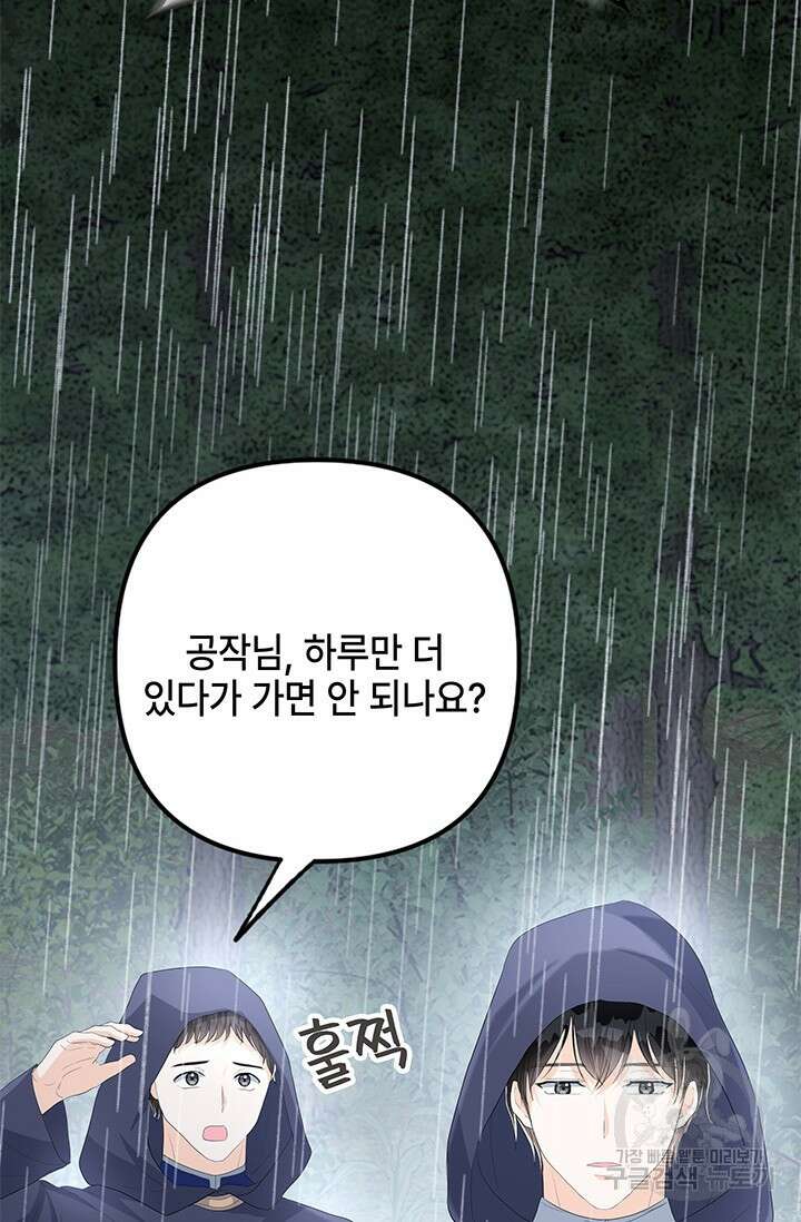 주인공들의 파혼을 막으려 했을 뿐인데 38화 15