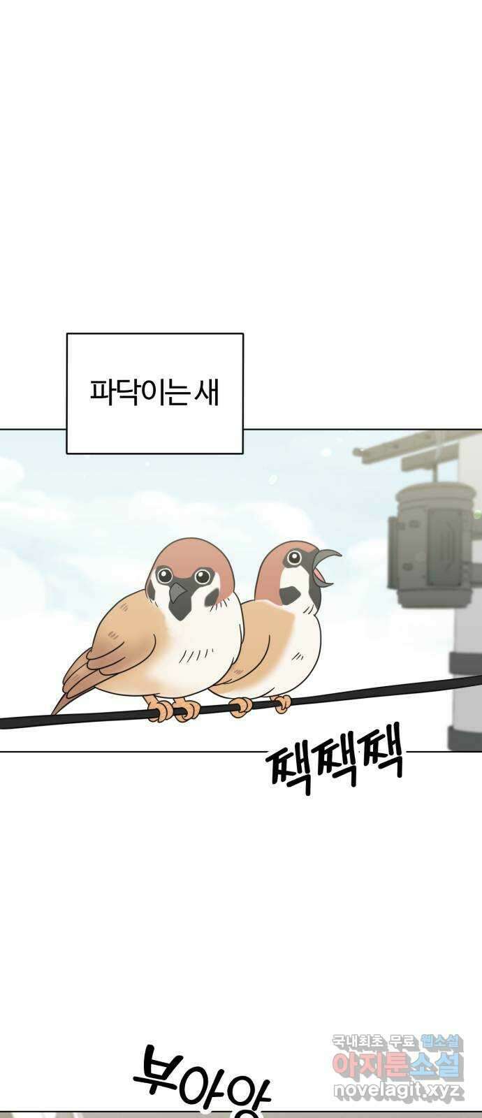 마루는강쥐 54화. 탄이는 냥이 1