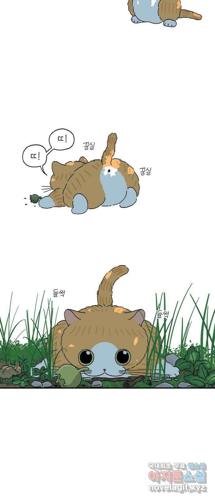 고양이 타타 25화 2