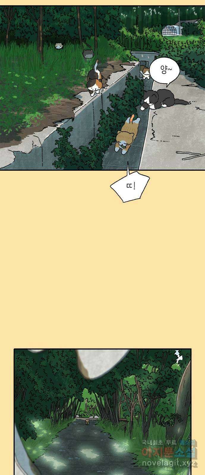고양이 타타 25화 5