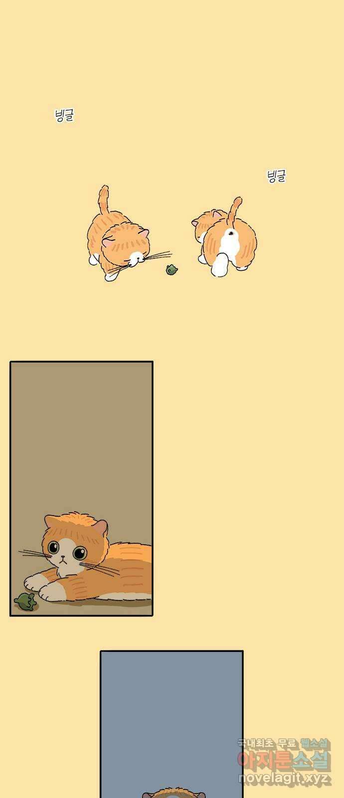 고양이 타타 25화 17