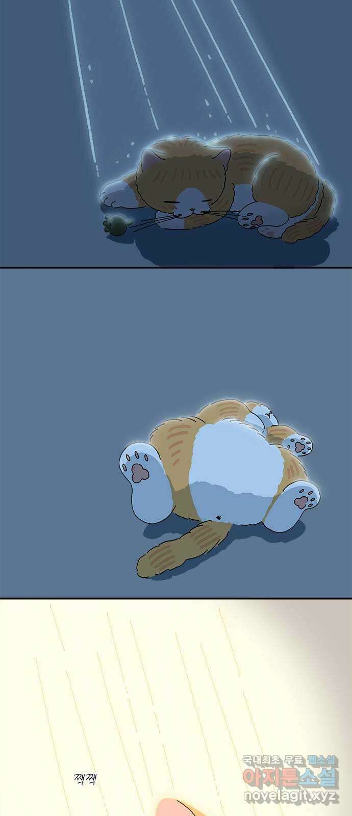 고양이 타타 25화 19
