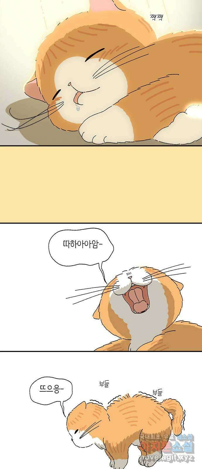 고양이 타타 25화 20