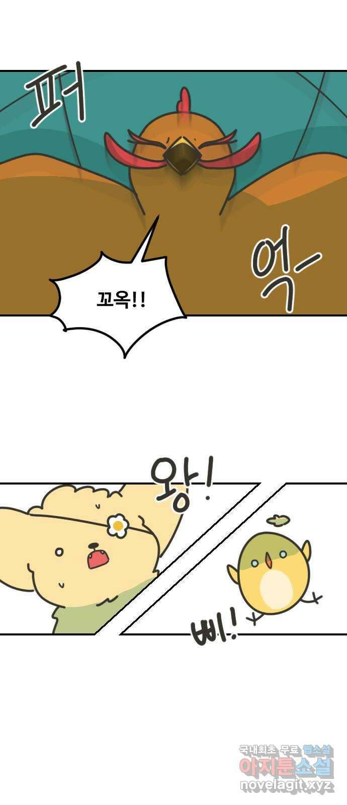 애구애구 31화 15