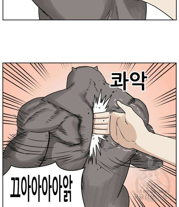 괴양이 2화 12