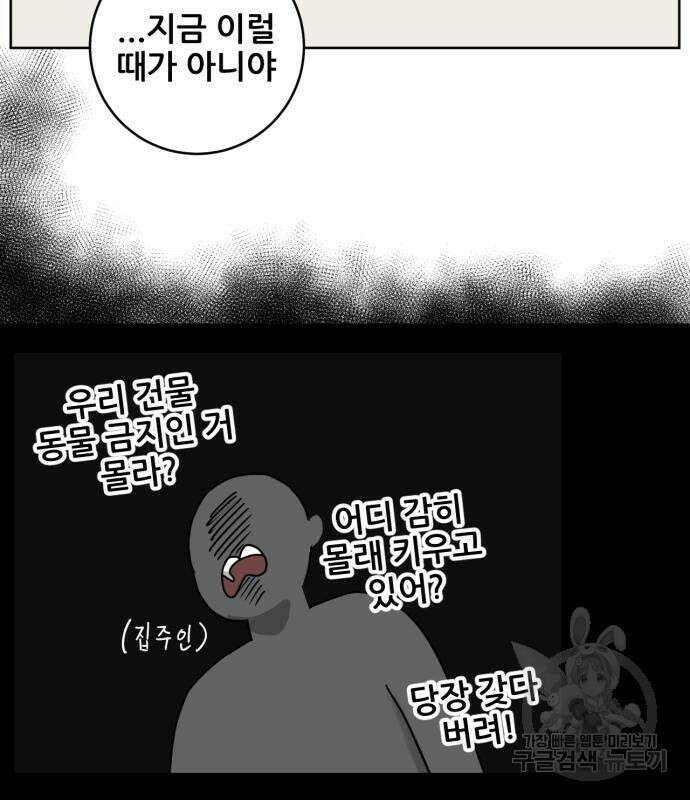 괴양이 2화 40
