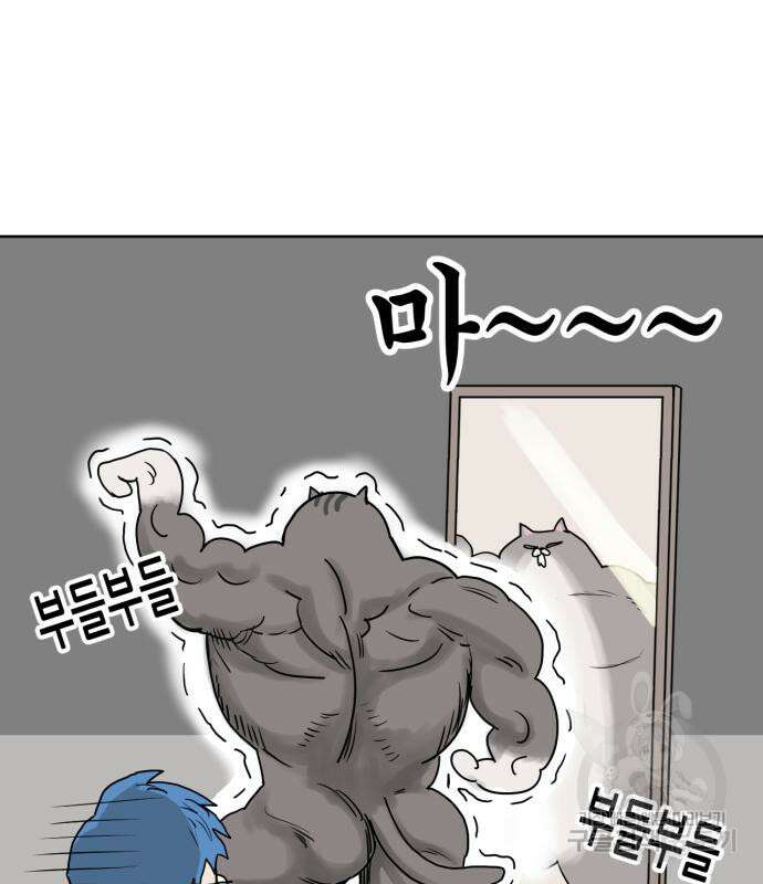 괴양이 2화 48