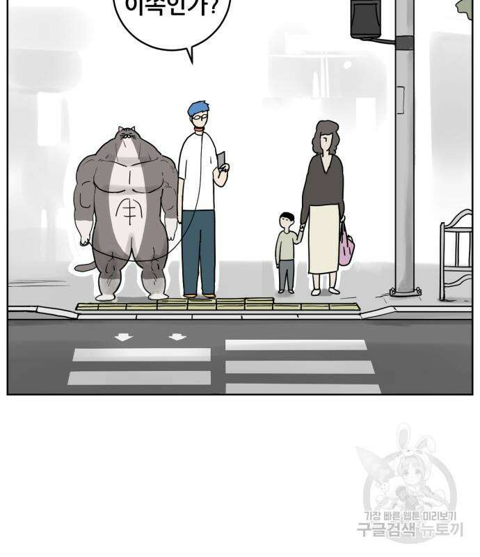 괴양이 2화 69