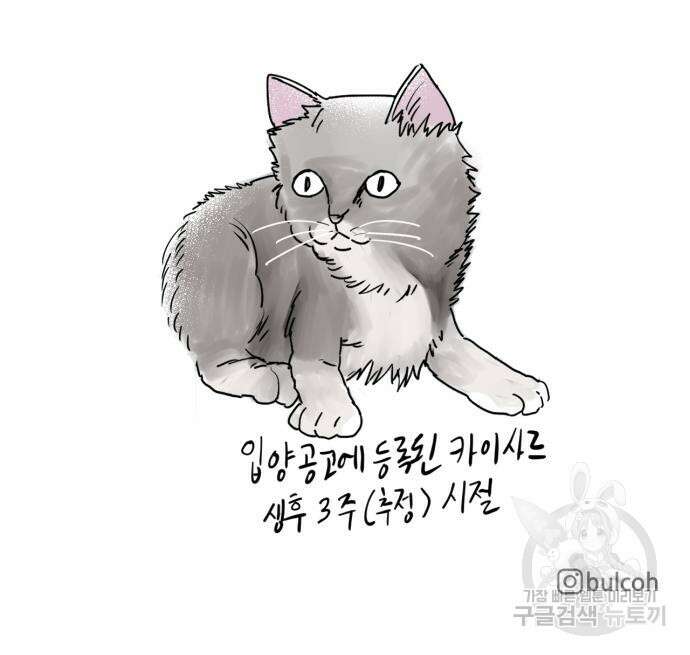 괴양이 2화 122