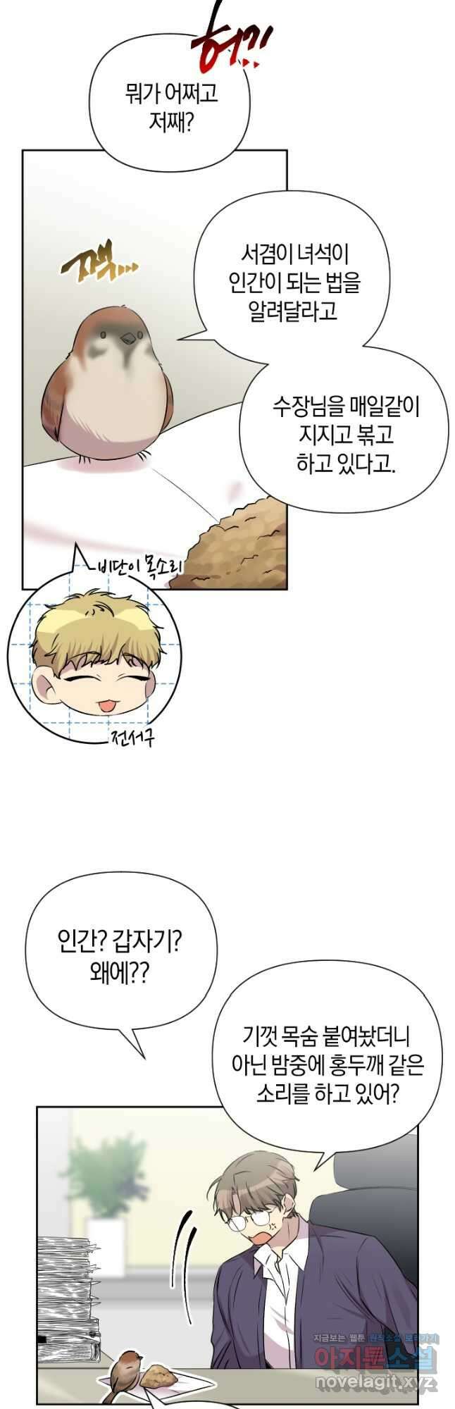 고서점 로망스 65화 2
