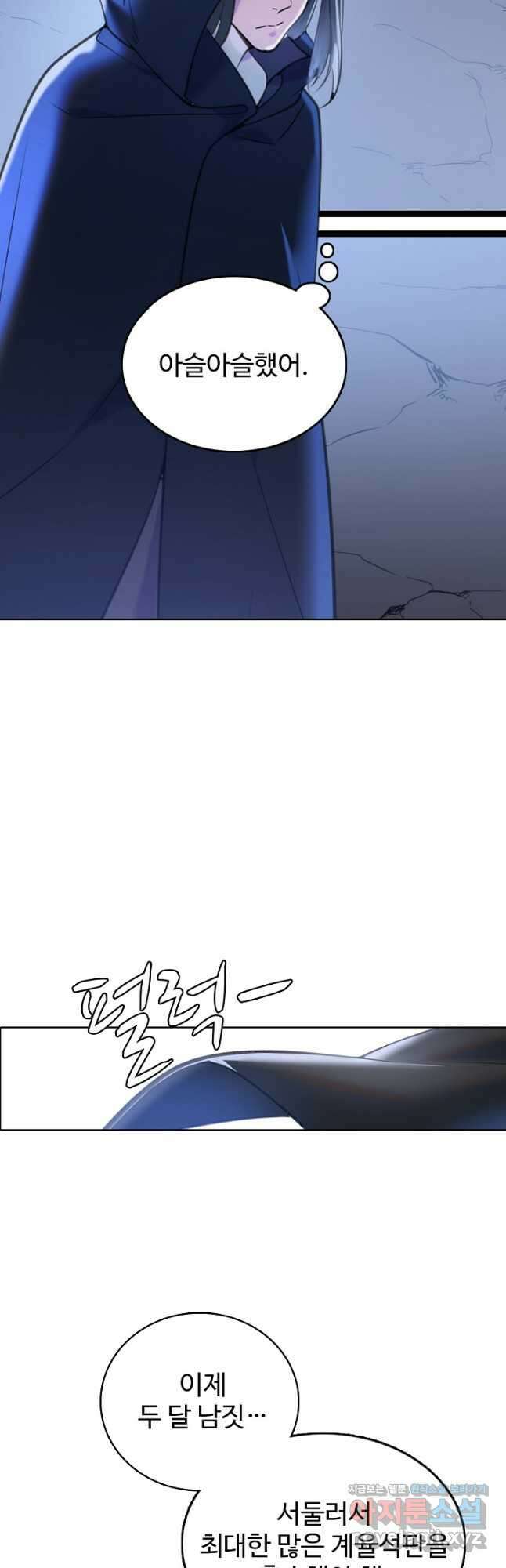 백련성신 966화 39