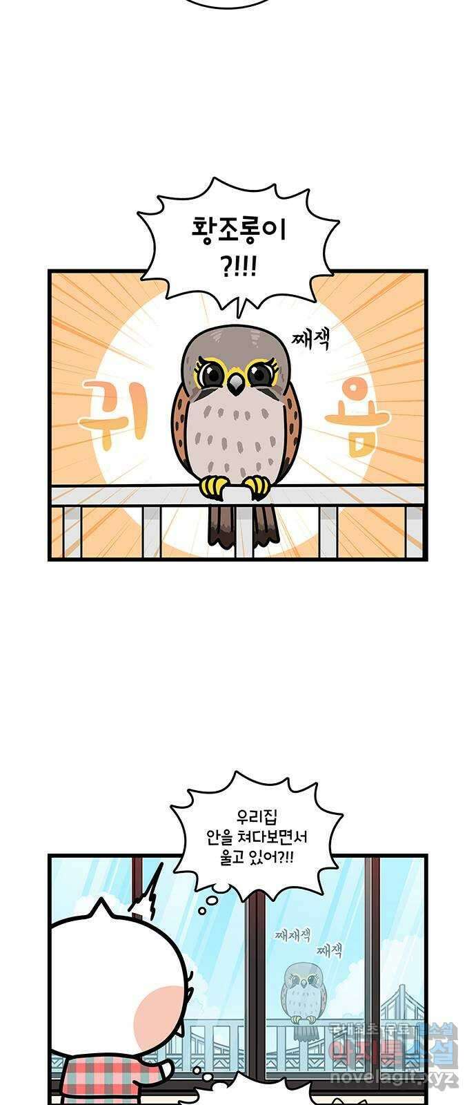 윌유메리미 시즌2 696화 써니의 남자친구 2