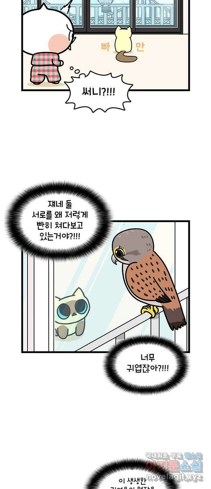 윌유메리미 시즌2 696화 써니의 남자친구 4