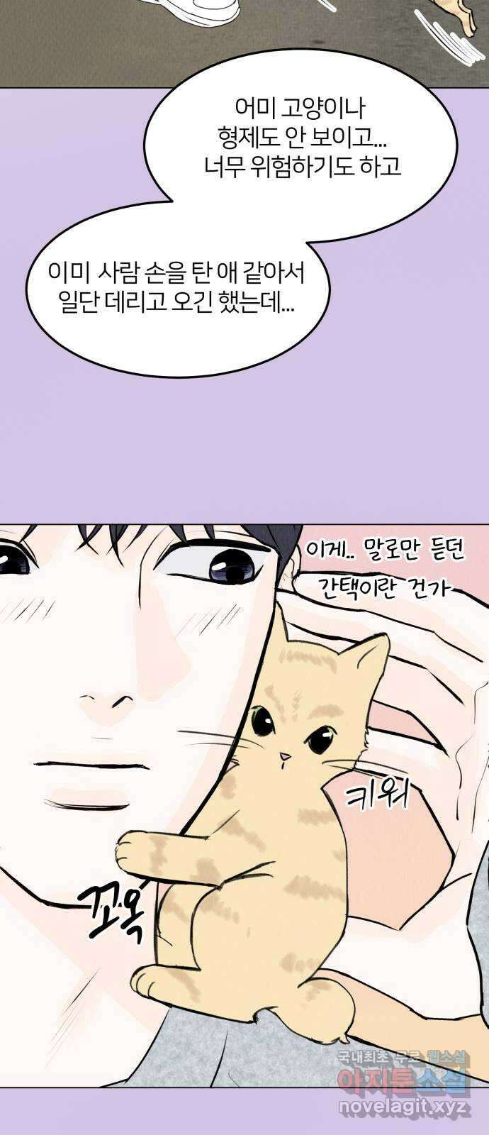 우리 집 고양이 보고 갈래? 29화 4