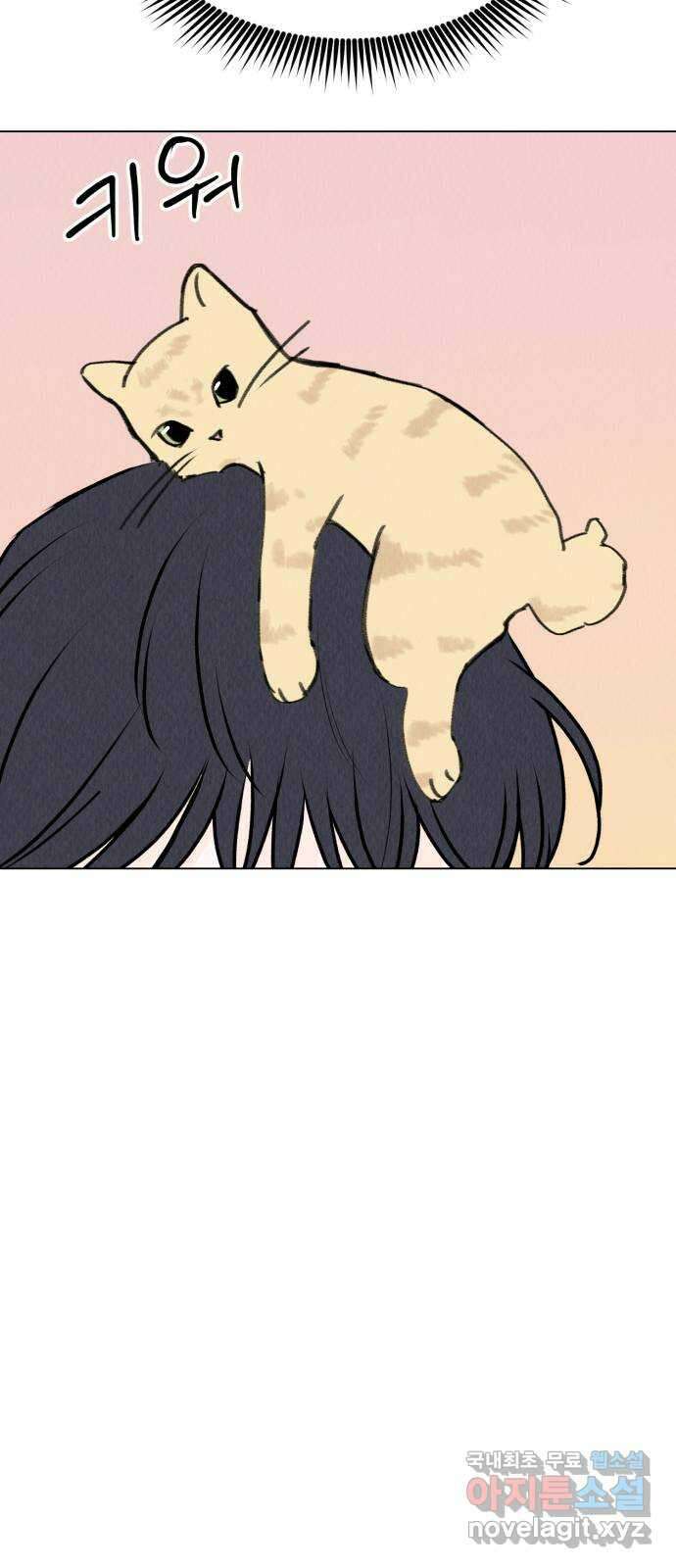 우리 집 고양이 보고 갈래? 29화 8