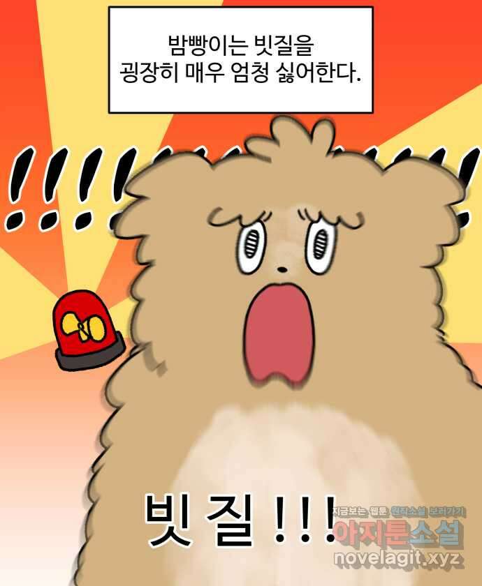 강아지는 멍멍하고 짖지 않아! 15화 - 빗질을 해야 하는 이유 5